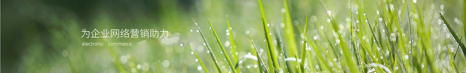 ƽر˿޹˾